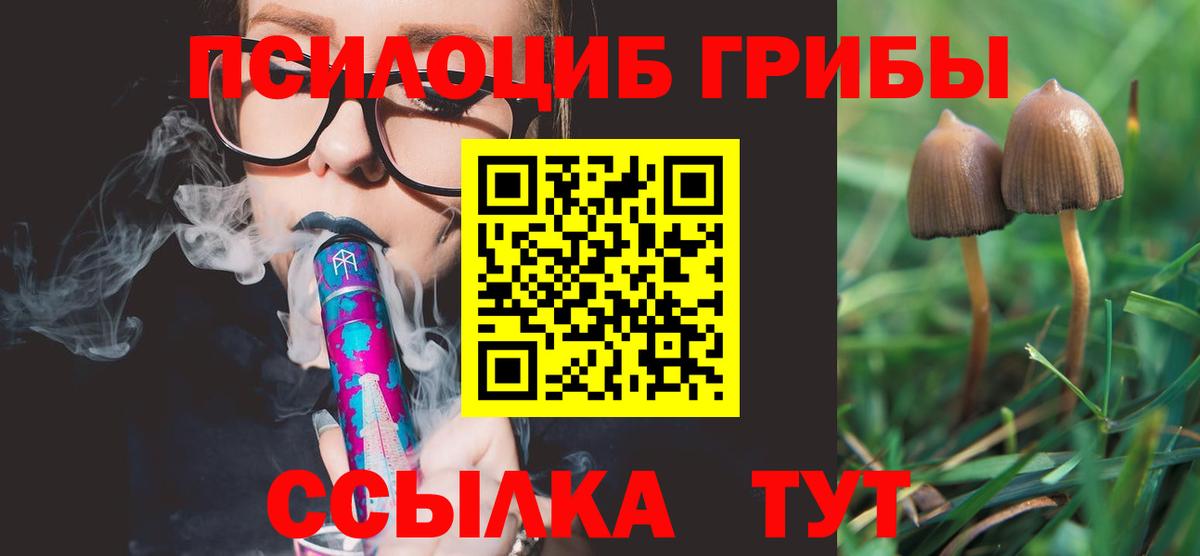 Галлюциногенные грибы ЛСД  Вход с VPN  купить  цена  Буйнакск  Псилоцибиновые грибы MAGIC MUSHROOMS 